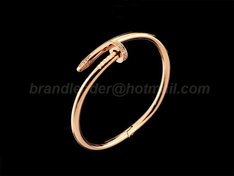 Cartier Bangles 65